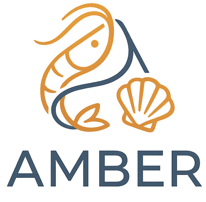 AMBER TRADE LIMITED COMPANY